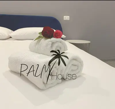 Letto o letti in una camera di PALM House Affitta camere