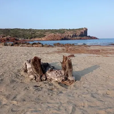 Paesaggio naturale nelle vicinanze dell'appartamento