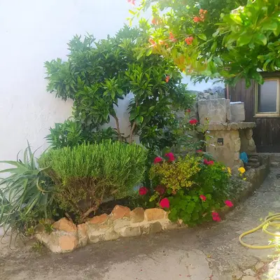 Giardino di ANTICA BAITA