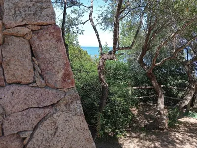 Paesaggio naturale nelle vicinanze della casa vacanze