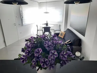 Planimetria di la suite oasi di relax e comfort IUN R1091