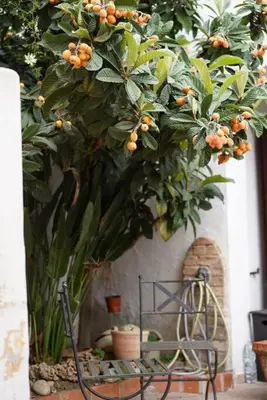 Giardino di Casa l’orizzonte azzurro