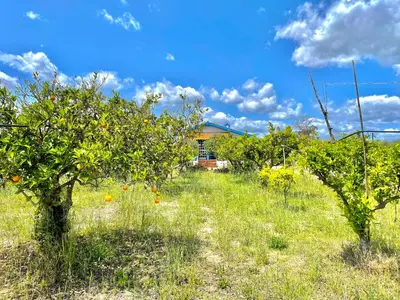 Paesaggio naturale nelle vicinanze della casa vacanze