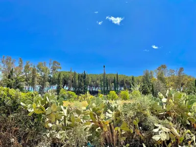 Paesaggio naturale nelle vicinanze della casa vacanze