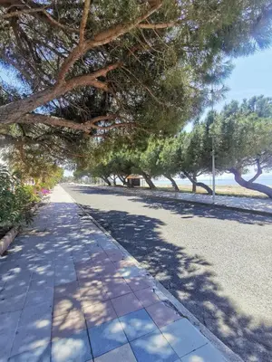 Giardino di Pachisa sul mare