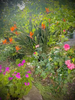 Giardino di Villa Eden