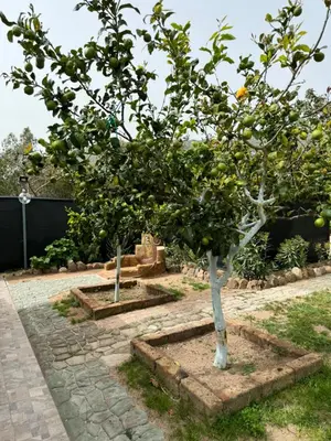 Giardino di L'Uliveto HOLIDAY HOUSE