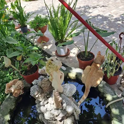 Planimetria di B&b Il Giardinetto