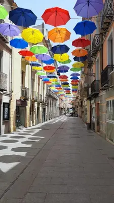 Il quartiere o una zona nella vicinanze dell'appartamento