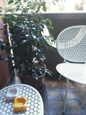 Planimetria di Su Planu