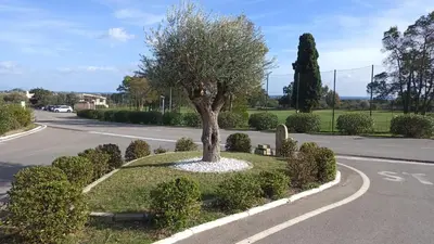 Giardino di La pecorella in vacanza IUN R3384