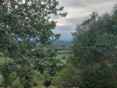 Paesaggio naturale nelle vicinanze dell'appartamento
