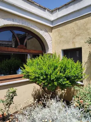 Giardino di Casa Vacanze L'Ulivo di Ugo