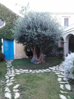 Giardino di Casa Vacanze L'Ulivo di Ugo