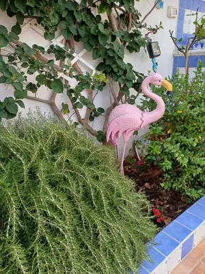 Giardino di Flamingo's House in Sant'Antioco, Sardinia