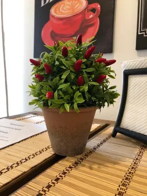 Planimetria di Domus Alessia