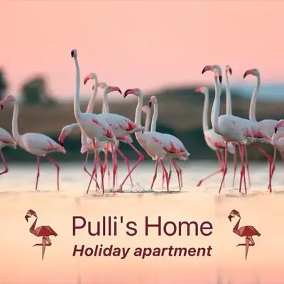 Pulli's Home - Comfy&Cozy House