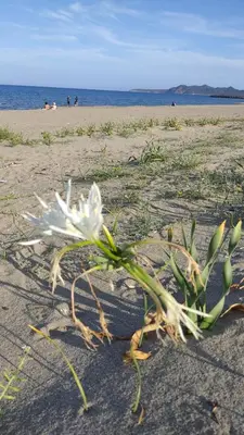 Paesaggio naturale nelle vicinanze della casa vacanze