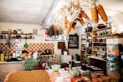 Planimetria di Country Living School