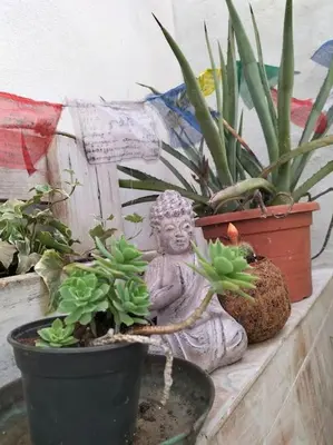 Giardino di Casa Marta
