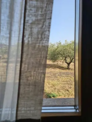 Planimetria di Agriturismo Corte degli Ulivi