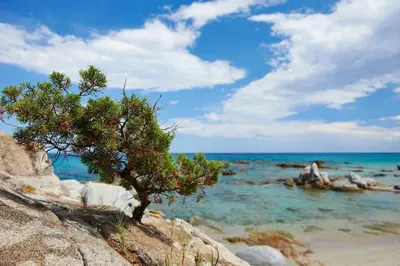 Paesaggio naturale nelle vicinanze dell'appartamento