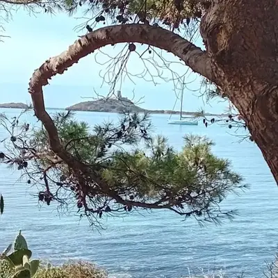 Domu Marietta