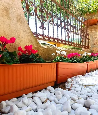 Giardino di Le Sorgenti Guest House