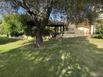 Giardino di Villa Degli Olivi