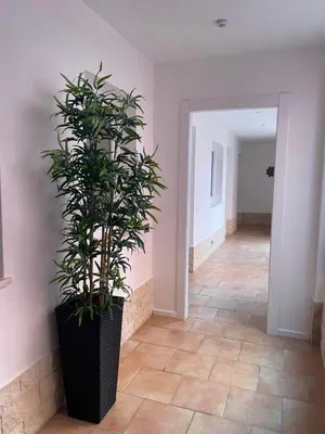 Planimetria di la Maison del Mas Family