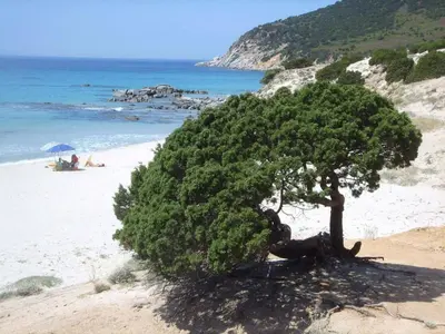 Paesaggio naturale nelle vicinanze della casa vacanze