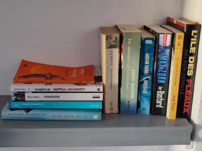 Biblioteca nell'appartamento