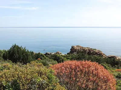 Paesaggio naturale nelle vicinanze del bed & breakfast