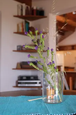 Cucina o angolo cottura di Casa Bianchi - Villa immersa nel verde