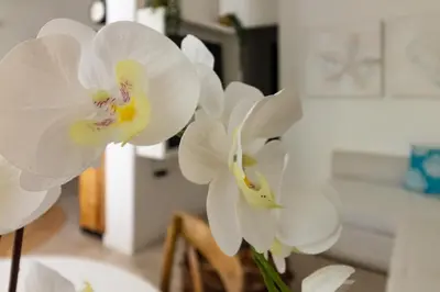 Planimetria di Casa vacanza Marina Blu