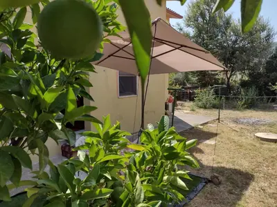 Giardino di Sa domu de Peppinu