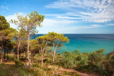 Paesaggio naturale nelle vicinanze dell'appartamento