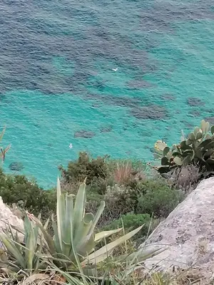 Paesaggio naturale nelle vicinanze dell'appartamento