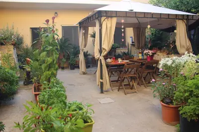 Ristorante o altro punto ristoro di Fiori e Limoni