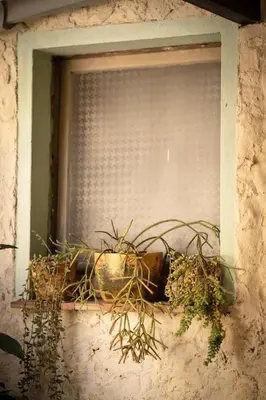 Planimetria di Sa Domu de Ladiri - matrimoniale con giardino