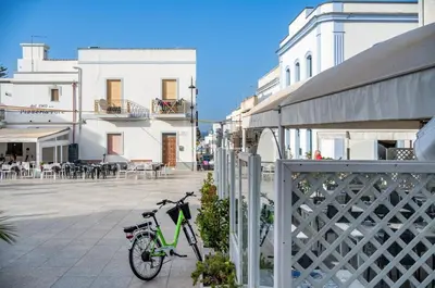 Attività di ciclismo presso l'appartamento o nelle vicinanze