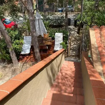 House pinus village