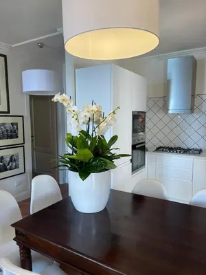 Cucina o angolo cottura di Casa De S'Arca