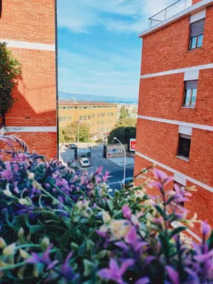 Edificio in cui si trova l'appartamento