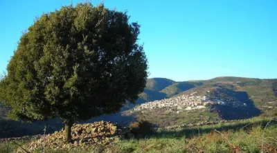 Planimetria di S'Antiga Inn, centro storico ed escursionismo in Sardegna
