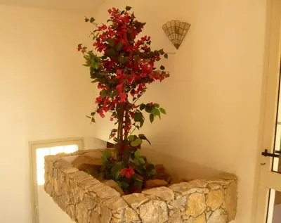 Planimetria di Villa Casanova