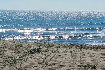 Paesaggio naturale nelle vicinanze della villa