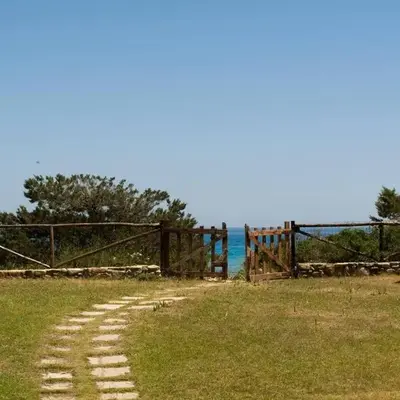 Beach House