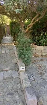Giardino di Casa al mare a Torre dei Corsari