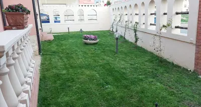 Giardino di La Casa di Bonaria